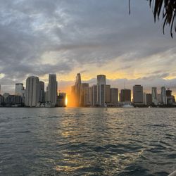 Cruisin' Tikis Miami