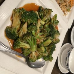 Oriental J