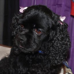 our sweet girl who needed help