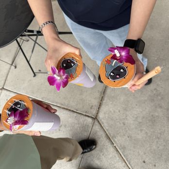 Backstreet Boba - Oh my. . . flowers are so pretty and made the treats very special. Also the salesgirls are always helpful and friendly! - Juice Bars & Smoothies Near Me - West Valley City, Utah Backstreet Boba - Oh my. . . flowers are so pretty and made the treats very special. Also the salesgirls are always helpful and friendly! - Juice Bars & Smoothies Near Me - West Valley City, Utah