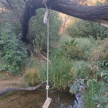 Limekiln Canyon Trail - Well hidden rope swing - Hiking Near Me - Northridge, California Limekiln Canyon Trail - Well hidden rope swing - Hiking Near Me - Northridge, California