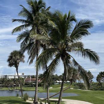 Best Golf Driving Ranges in Palm Beach Gardens Florida Reviews: Top Picks