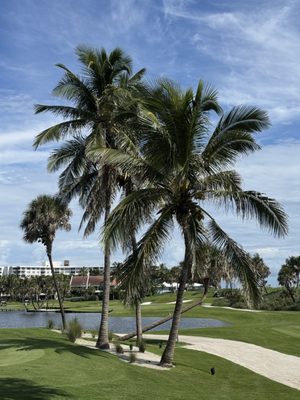 Palm Beach Par-3 Golf Course by null
