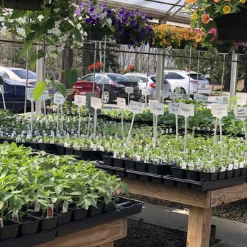 Kollman's Greenhouse - Local family owned greenhouse. Lots of variety. Good prices. Family friendly. Helpful staff. - Nurseries & Gardening Near Me - Twinsburg, Ohio