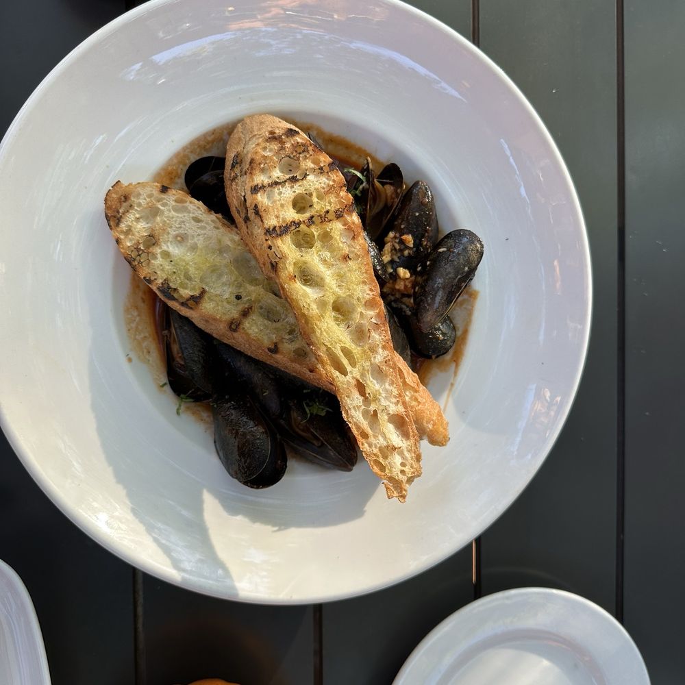 Zocalo - Chili Broth Steamed Mussels. We wanted a gallon of the chili broth! - New American Near Me - Charlottesville, Virginia Zocalo - Chili Broth Steamed Mussels. We wanted a gallon of the chili broth! - New American Near Me - Charlottesville, Virginia