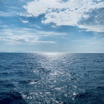 Harbor Breeze Cruises - Wide open ocean! - Whale Watching Tours Near Me - San Pedro, California