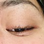 Photo of Eyebrow Plus