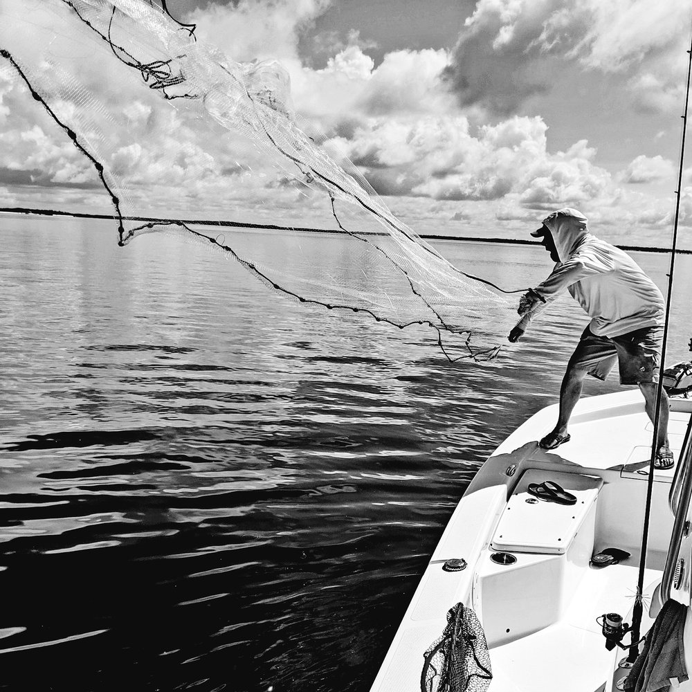 EVERGLADES DISCOVERY TOURS 740 Palm Point Rd, Goodland, Florida