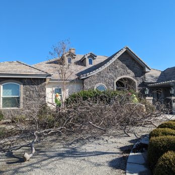 Johnny's Tree Service - Tree down. All the debris was gone when they are done! - Tree Services Near Me