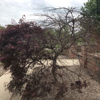 Serene Surroundings - This is how it looks now. - Snow Removal Near Me - Plymouth, Michigan Serene Surroundings - This is how it looks now. - Snow Removal Near Me - Plymouth, Michigan