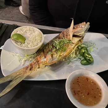 Nine One Five - This is the whole snapper - New American Near Me - Key West, Florida