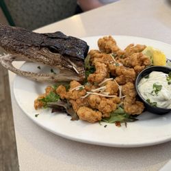 Red Wing Restaurant - Gator appetizer!