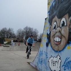 The level Skate park