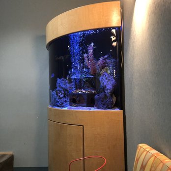 Pediatric Dentistry San Ramon - Pediatric Dentists Near Me - San Ramon, California Pediatric Dentistry San Ramon - Pediatric Dentists Near Me - San Ramon, California