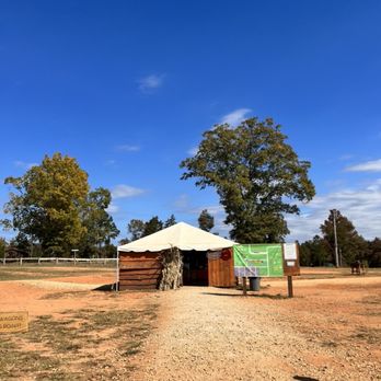 Hall Family Farm - Pumpkin Patches Near Me - Lancaster, South Carolina