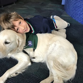 Gila C Dorostkar, DDS - My son after his dental procedure, and the therapy dog Aspen who was with him during the treatment. A miracle dog! - Pediatric Dentists Near Me - Greenbrae, California Gila C Dorostkar, DDS - My son after his dental procedure, and the therapy dog Aspen who was with him during the treatment. A miracle dog! - Pediatric Dentists Near Me - Greenbrae, California