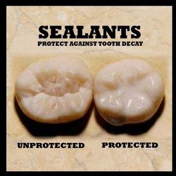 Shearwater Dental