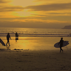 Donut Beach Coronado
