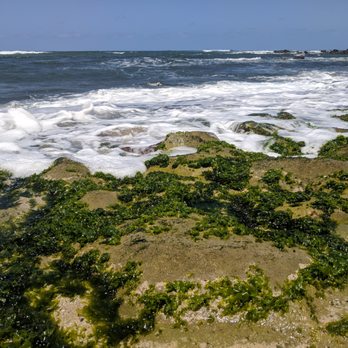 Turtle Beach - Slippery! - Beaches Near Me - Haleiwa, Hawaii