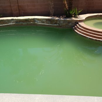 Progress Residential - Pool when we finally moved in and stayed like this for over 3 months - Property Management Near Me - Las Vegas, Nevada Progress Residential - Pool when we finally moved in and stayed like this for over 3 months - Property Management Near Me - Las Vegas, Nevada