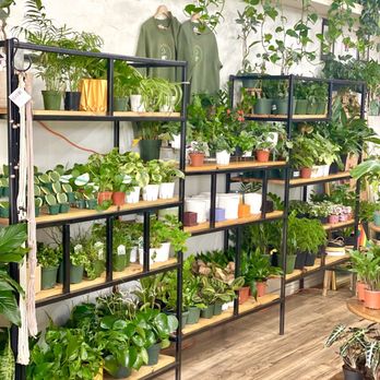 Habitat Plants + Coffee - Plants! - Coffee & Tea Near Me - McKinney, Texas