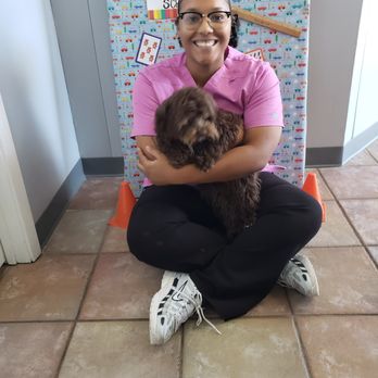 South Arlington Animal Clinic - Veterinarians Near Me - Arlington, Texas South Arlington Animal Clinic - Veterinarians Near Me - Arlington, Texas