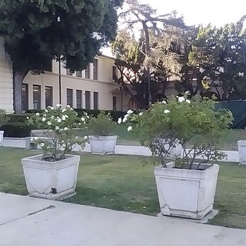 Reed Junior High School - Beautiful flowers in real, big pots. Photo taken from the side street. The remaining of the classrooms. - Elementary Schools Near Me - North Hollywood, California