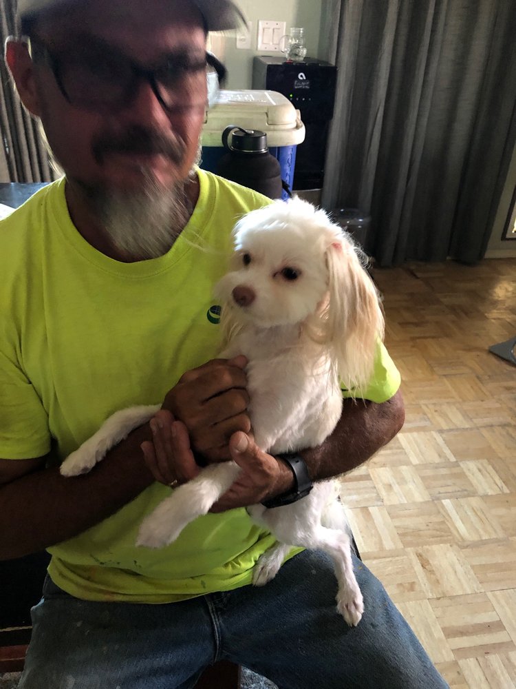 SHAGGY 2 CHIC GROOMING Updated August 2024 60 Photos 5540 E