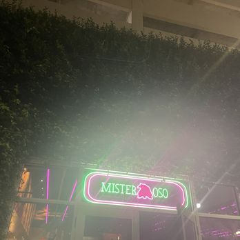 Mister Oso - Entrance - Tacos Near Me - New Orleans, Louisiana Mister Oso - Entrance - Tacos Near Me - New Orleans, Louisiana