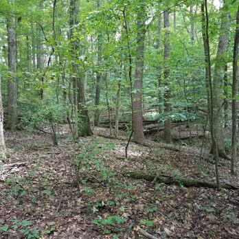 Bur-Mil Park - Parks Near Me - Greensboro, North Carolina Bur-Mil Park - Parks Near Me - Greensboro, North Carolina