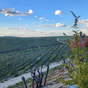 Callaway Vineyard & Winery - Wineries Near Me - Temecula, California