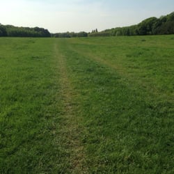 Hundewiese Militärring - Das ist echt der Hammer hier.