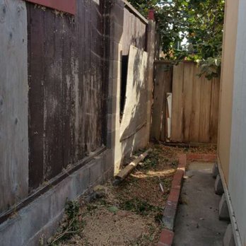 Jose tree service - Tree removed. - Tree Services Near Me Jose tree service - Tree removed. - Tree Services Near Me