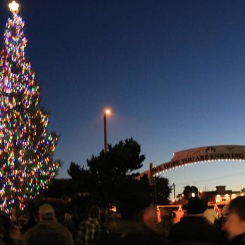 Stillwagon Distillery - a large christmas tree in the foreground - Distilleries Near Me - Bandon, Oregon Stillwagon Distillery - a large christmas tree in the foreground - Distilleries Near Me - Bandon, Oregon