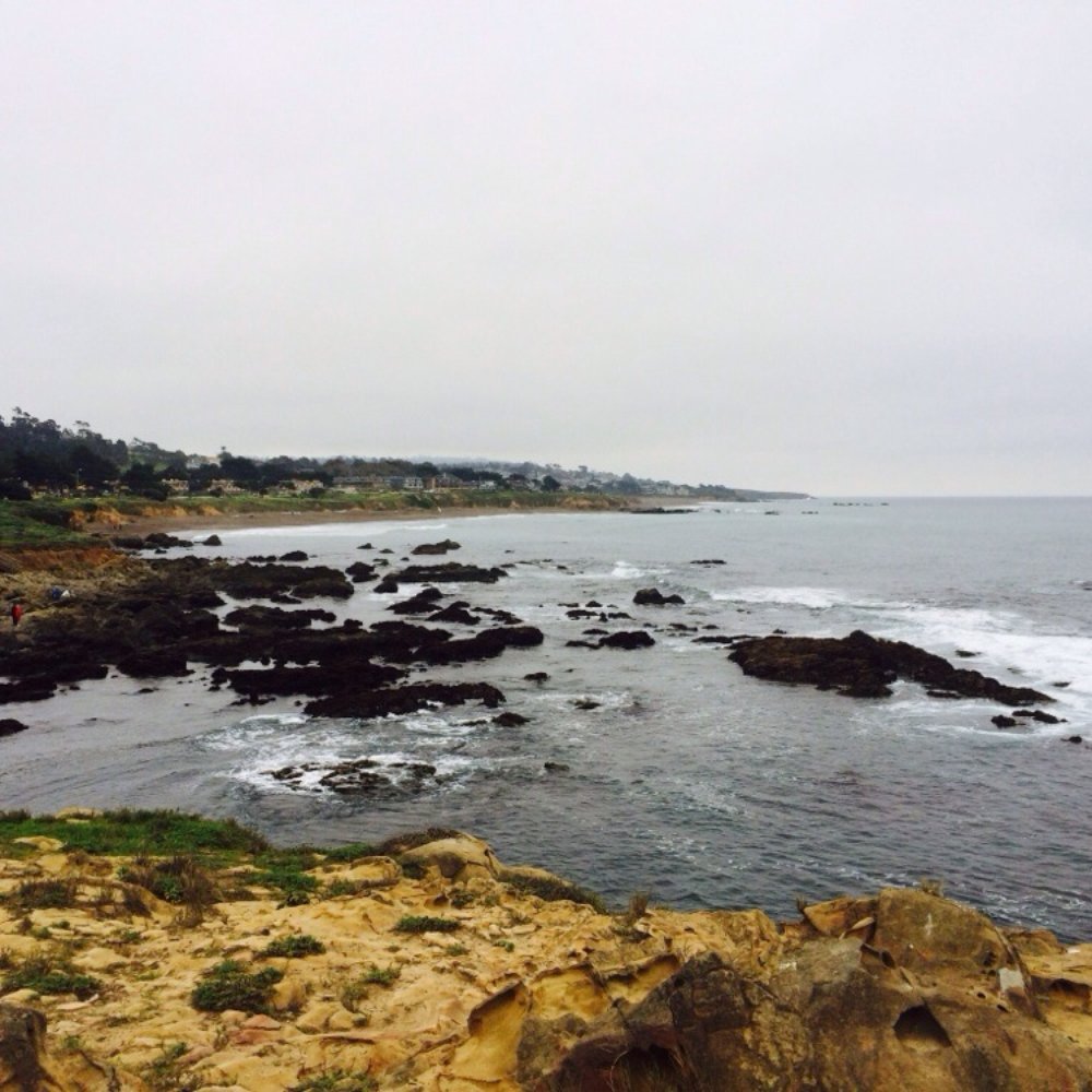 Moonstone Cellars - The beach that inspires his wine - Wineries Near Me - Cambria, California Moonstone Cellars - The beach that inspires his wine - Wineries Near Me - Cambria, California