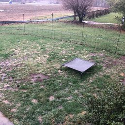 Glad I paid for the service for two plus years and this is how my yard looks! Glad I paid for the service for two plus years and this is how my yard looks!