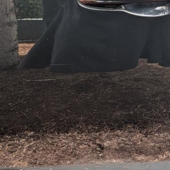 Beaverton Toyota - You can see 2 horizontal scratches running parallel in shiny black car door. - Car Dealers Near Me - Beaverton, Oregon