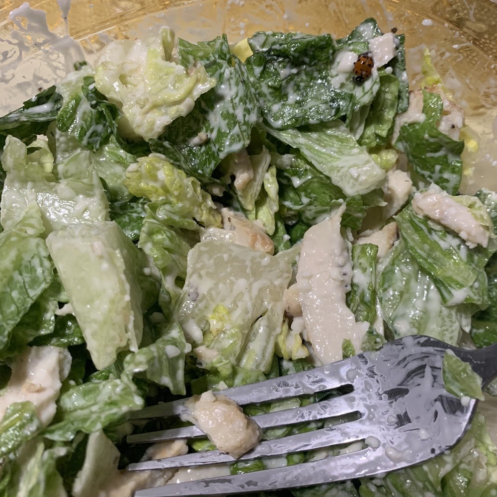 Panera Bread - Ladybug in my salad - Salad Near Me - Valley Stream, New York Panera Bread - Ladybug in my salad - Salad Near Me - Valley Stream, New York