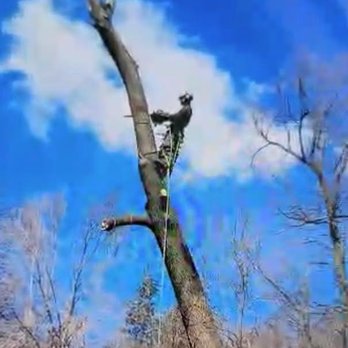 Bill's Tree Service - Tree Services Near Me - Gettysburg, Pennsylvania Bill's Tree Service - Tree Services Near Me - Gettysburg, Pennsylvania