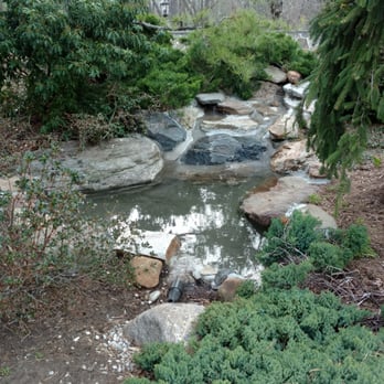 Nick Den - a stream running through a wooded area - Roofing Near Me