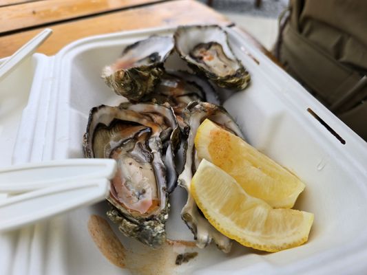 Seafood Shack by null