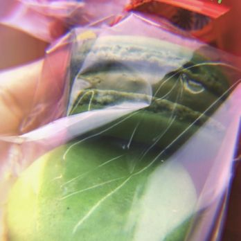Kung Fu Tea - Macaron x2 (Matcha) - Bubble Tea Near Me - Brooklyn, New York Kung Fu Tea - Macaron x2 (Matcha) - Bubble Tea Near Me - Brooklyn, New York