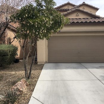 Thanx Bubba - Perfectly trimmed trees!!! - Landscaping Near Me - Las Vegas, Nevada Thanx Bubba - Perfectly trimmed trees!!! - Landscaping Near Me - Las Vegas, Nevada