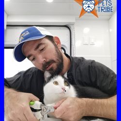 Pets Tribe Tx - Cat Groomer