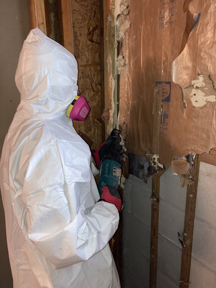 AFI MOLD Restoration - mold inspector in Oakland, FL