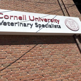 Cornell University Veterinary Specialists - Sign - Veterinarians Near Me - Stamford, Connecticut Cornell University Veterinary Specialists - Sign - Veterinarians Near Me - Stamford, Connecticut