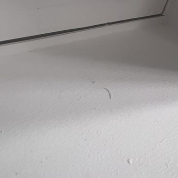 30A Escapes - Someone's fingernail clipping - Property Management Near Me - Santa Rosa Beach, Florida
