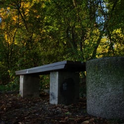 Park an der Ilm