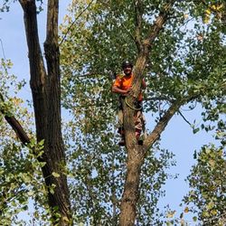 Ole Dad's Outdoor Solutions