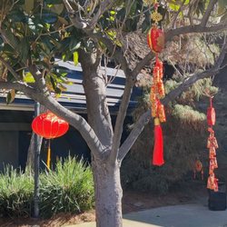 Contra Costa Chinese School - Good luck wishes...